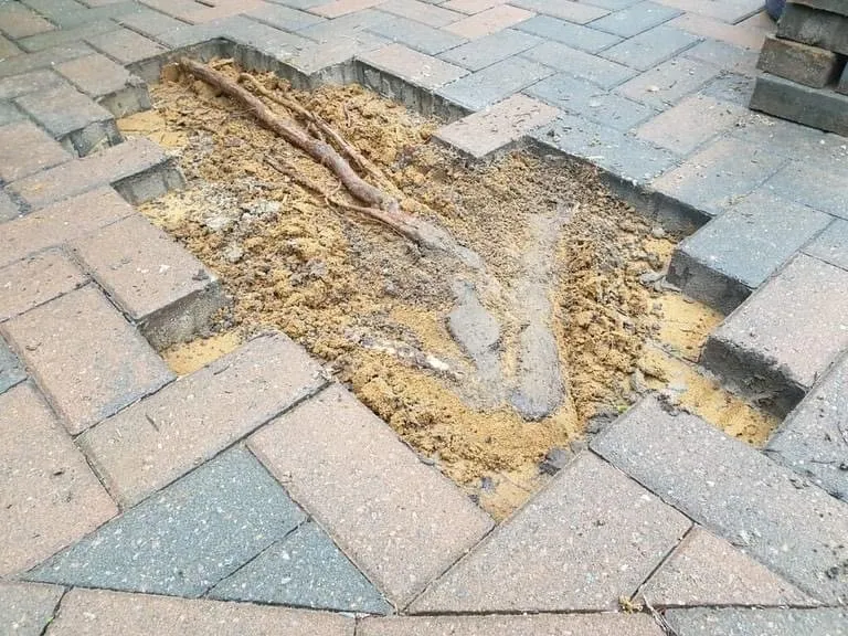 Local outdoor landscaping experts serving Pontiac, MI - Rodriguez Outdoor Services