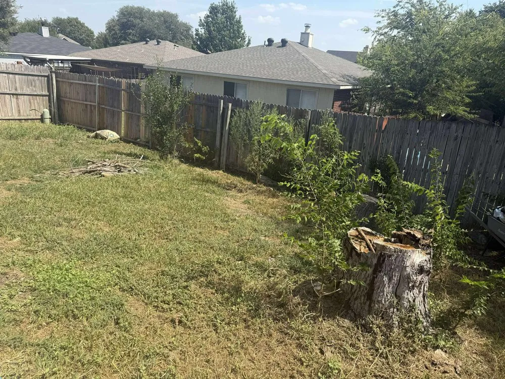 Professional outdoor landscaping in Saginaw, TX - Rodriguez Precision Mowing