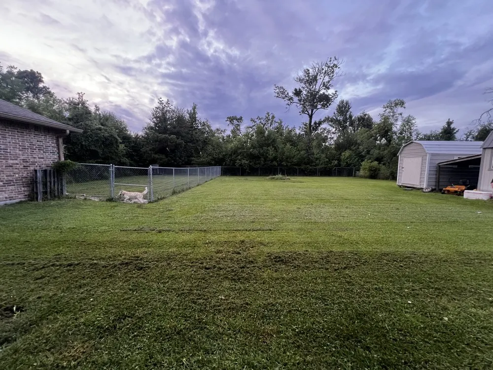 Top-rated lawn mowing service in Saginaw, TX by Rodriguez Precision Mowing