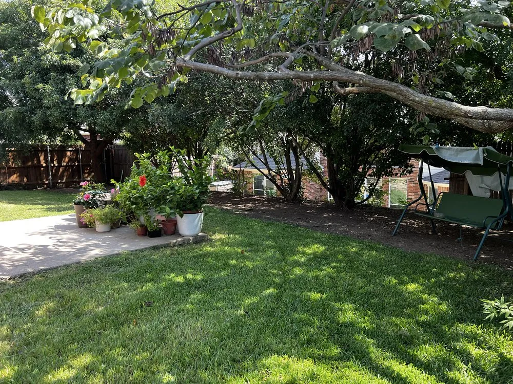 Custom yard maintenance in Saginaw, TX by Rodriguez Precision Mowing