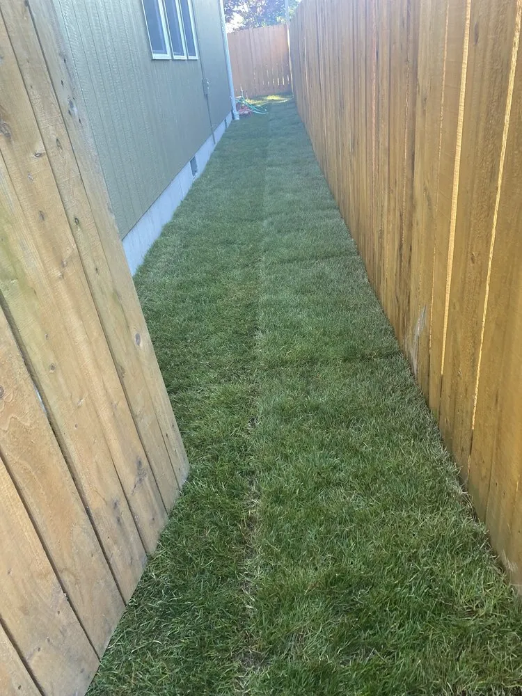 Affordable landscape installation experts serving Federal Way, WA - Rodriguez Professional Landscaping