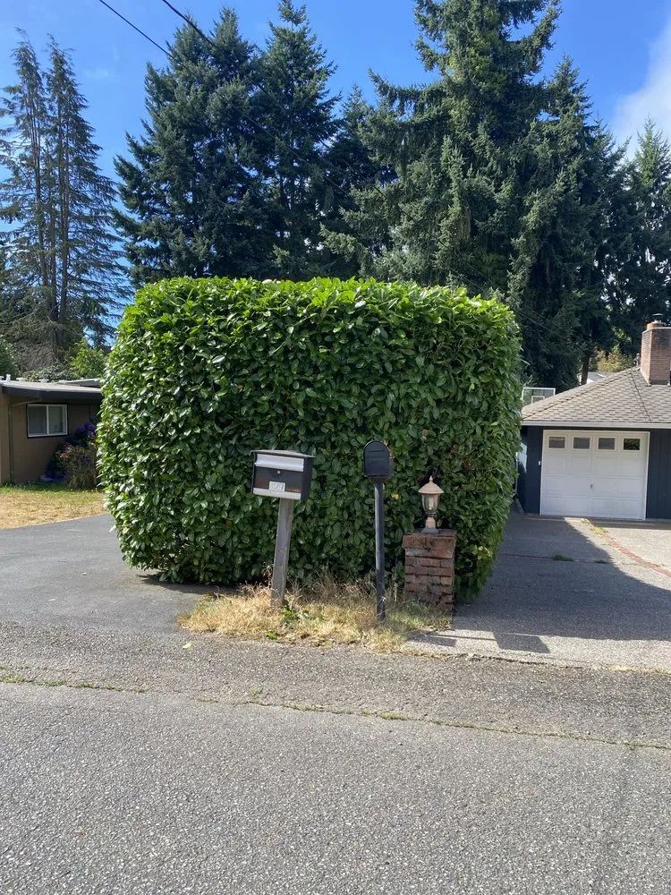 Custom lawn mowing service near you across Federal Way, WA - Rodriguez Professional Landscaping