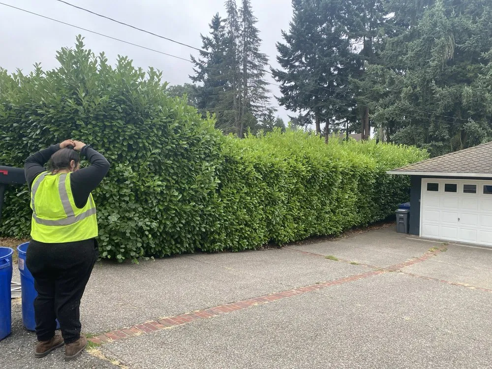 Affordable landscaping services for outdoor upgrades across Federal Way, WA - Rodriguez Professional Landscaping