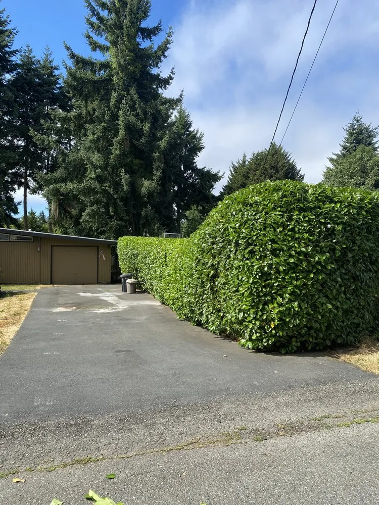 Local lawn care service in Federal Way, WA - Rodriguez Professional Landscaping