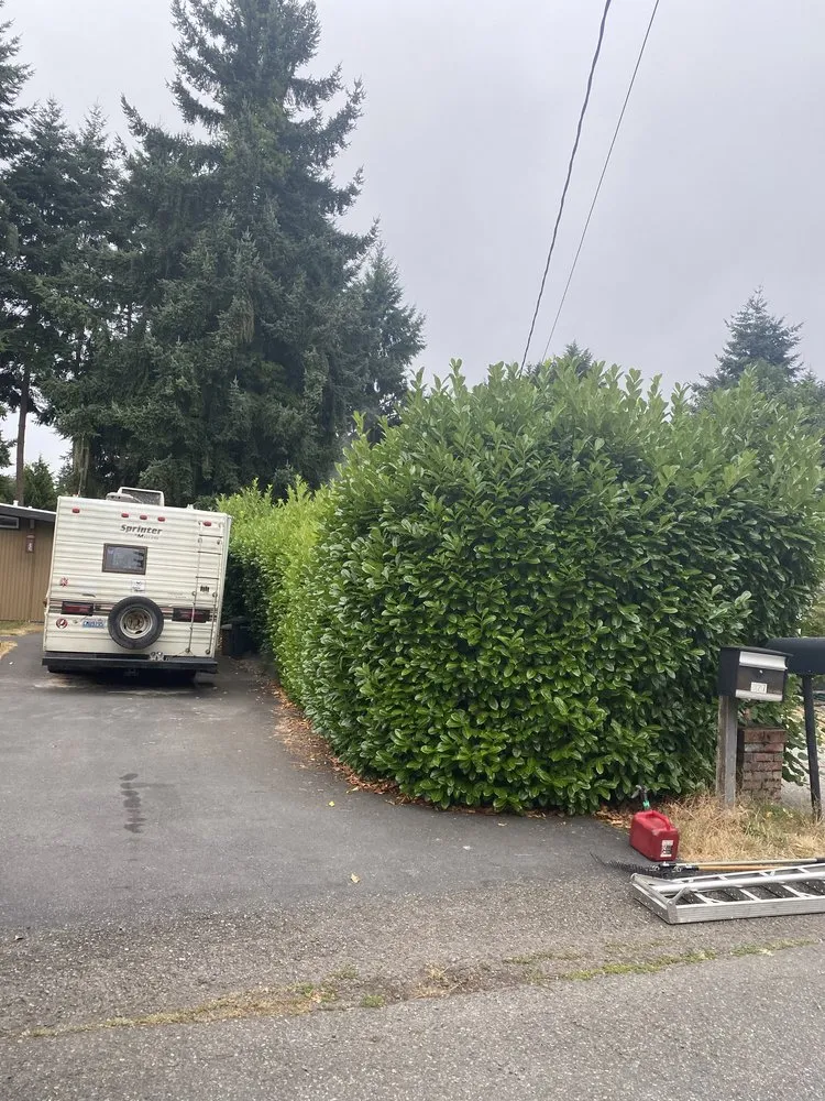 Reliable landscape design near you across Federal Way, WA - Rodriguez Professional Landscaping