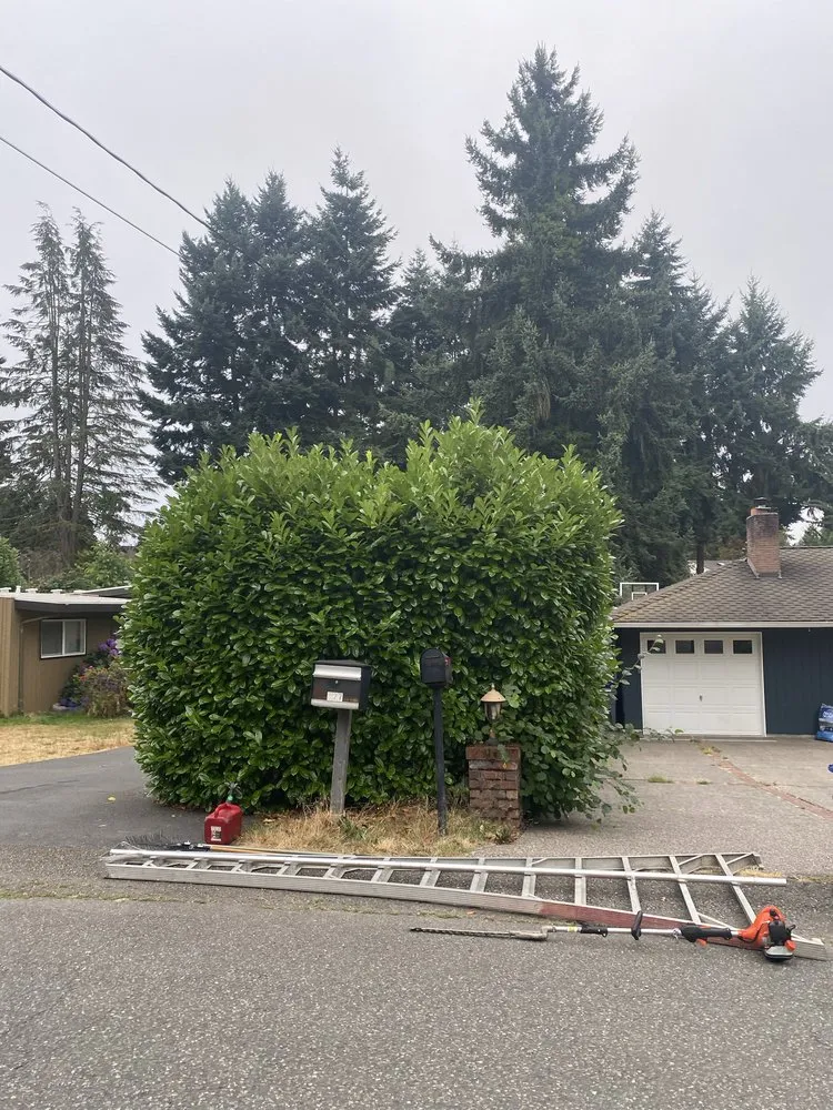 Custom residential landscaping experts serving Federal Way, WA - Rodriguez Professional Landscaping