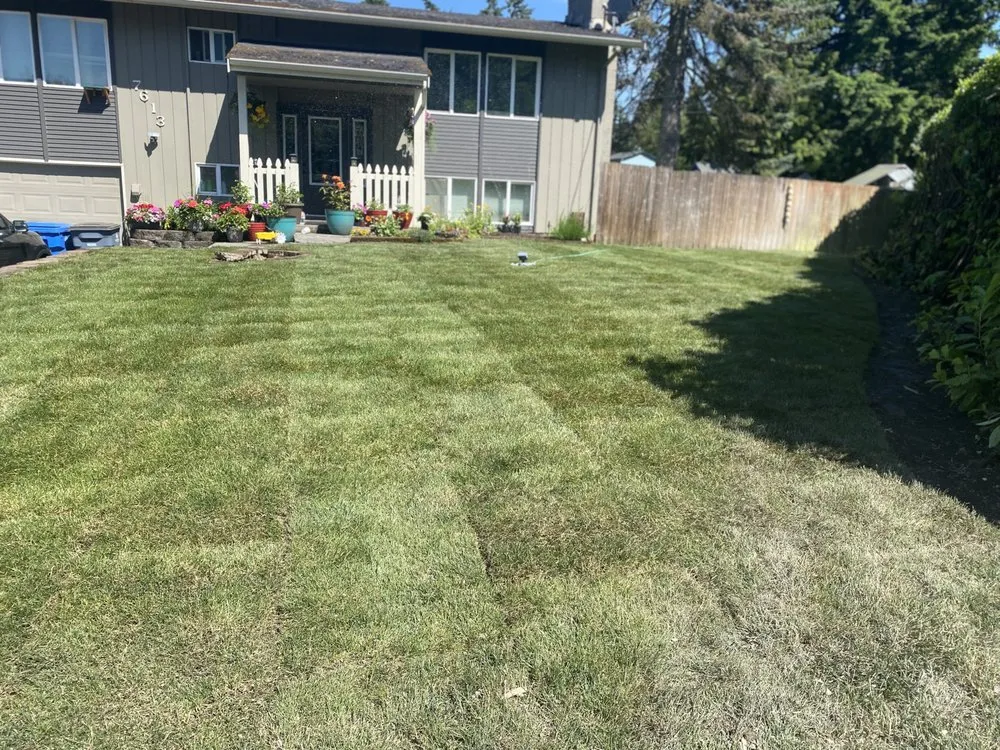 Reliable landscaping services with custom design across Federal Way, WA - Rodriguez Professional Landscaping