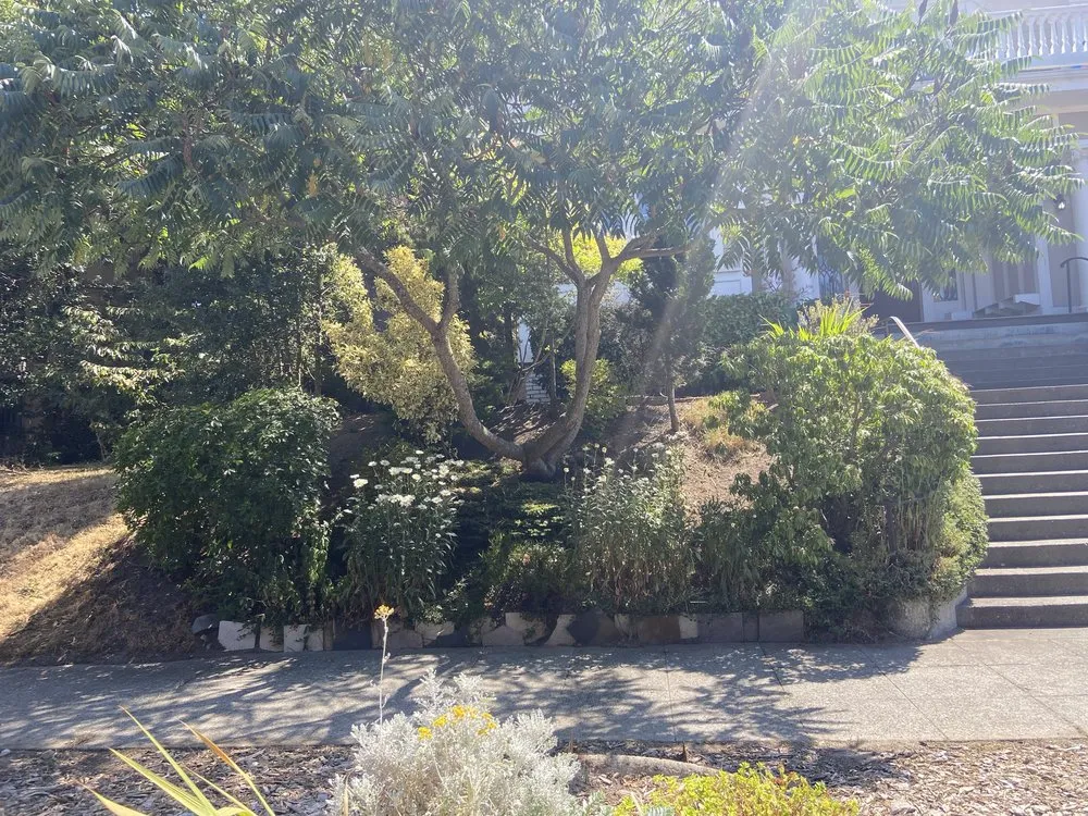 Professional landscaping services experts serving Federal Way, WA - Rodriguez Professional Landscaping