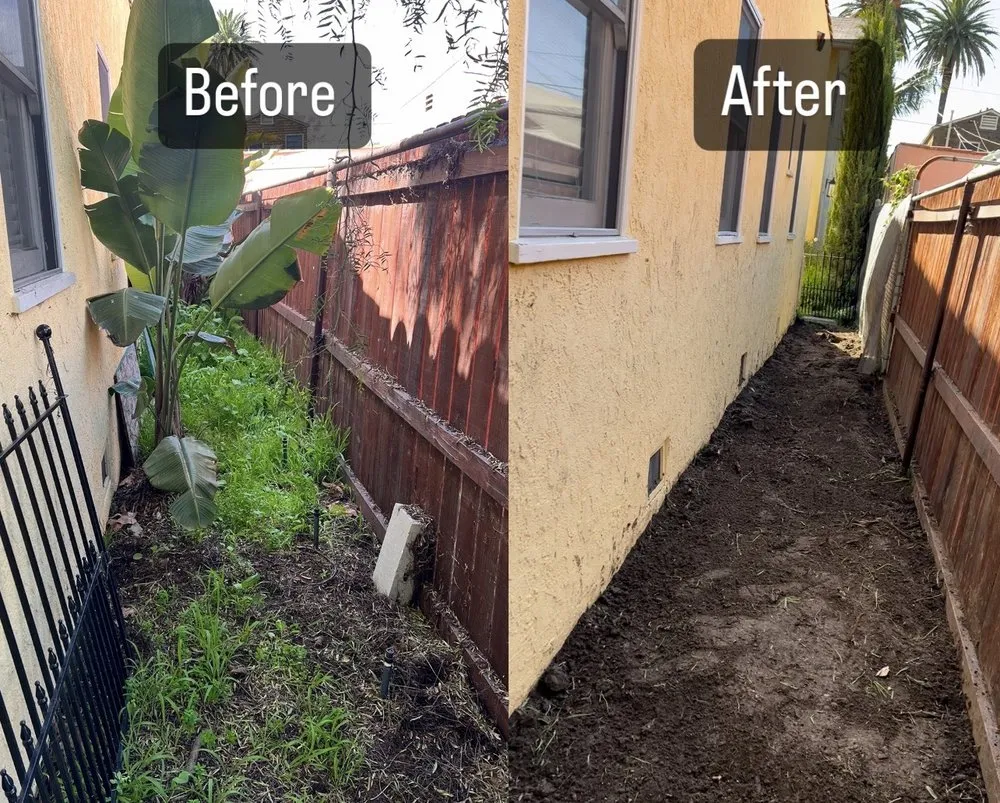 Affordable yard maintenance experts serving Los Angeles, CA - Rodriguez Property Improvement