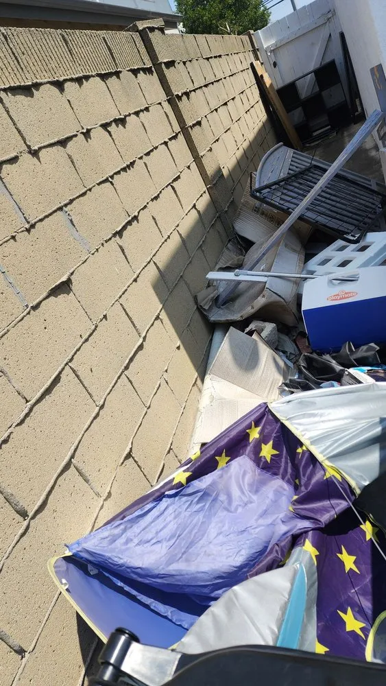 Affordable landscape design in Los Angeles, CA by Rodriguez Property Improvement