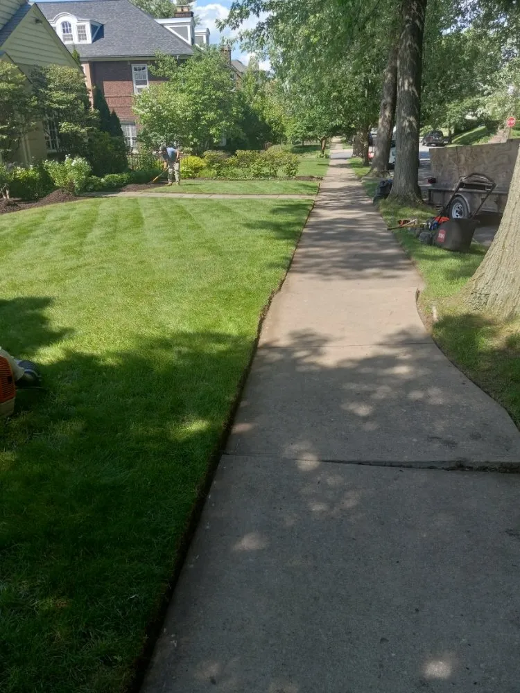 Top-rated garden landscaping for year-round maintenance across Scranton, PA - Rodriguez R Landscape