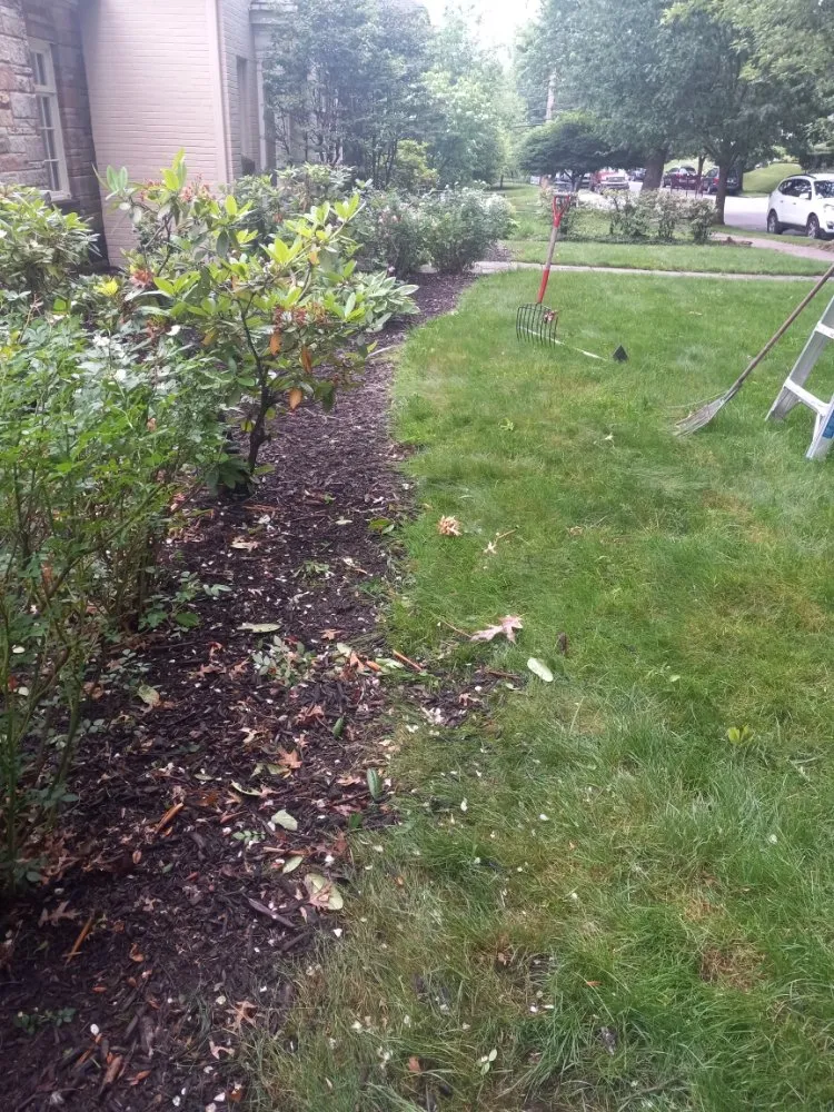 Affordable yard maintenance in Scranton, PA by Rodriguez R Landscape