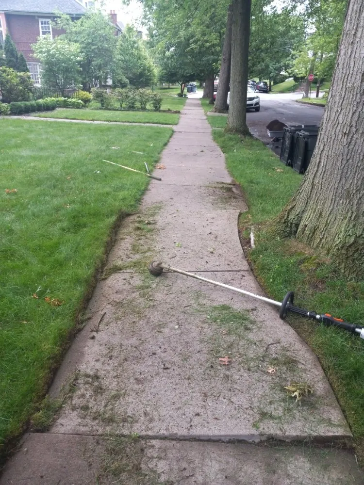 Top-rated landscaping services in Scranton, PA - Rodriguez R Landscape