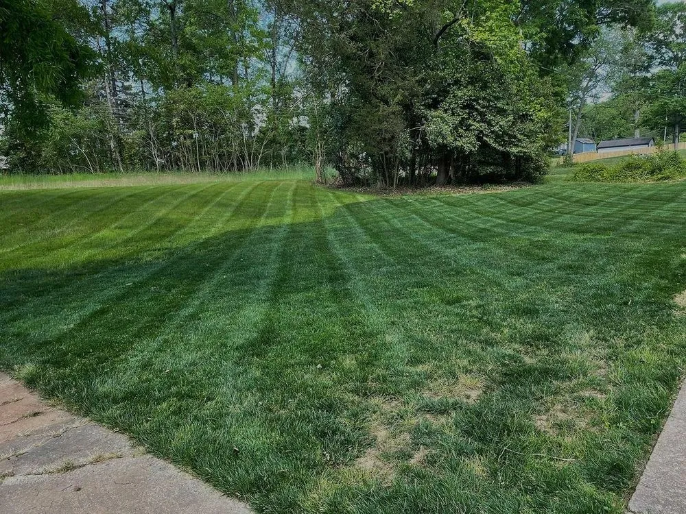 Custom lawn care service in Gastonia, NC - Rodriguez Remodeling