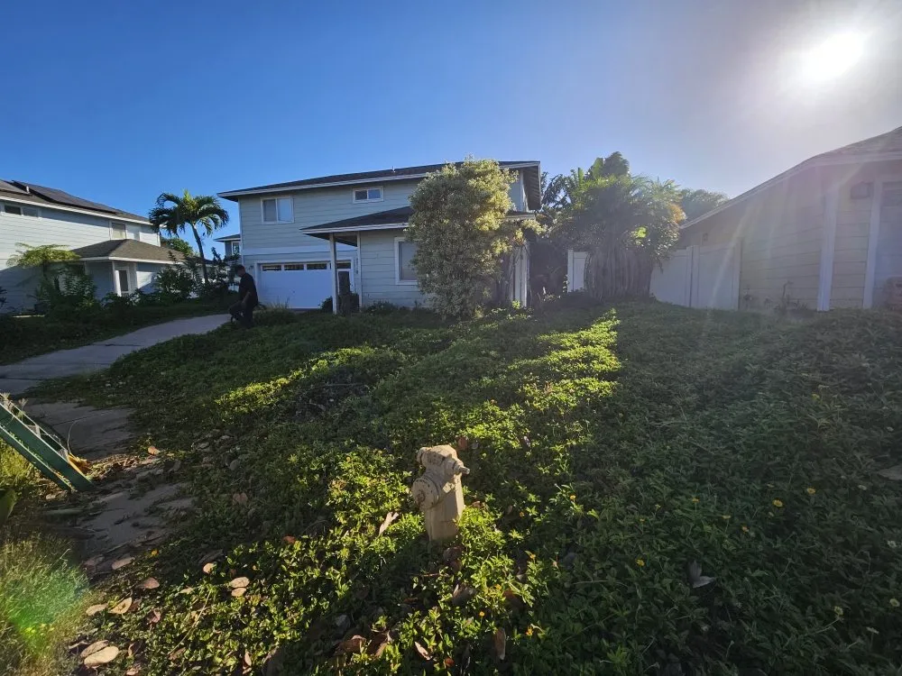 Local residential landscaping in Kihei, HI - Rodriguez Services