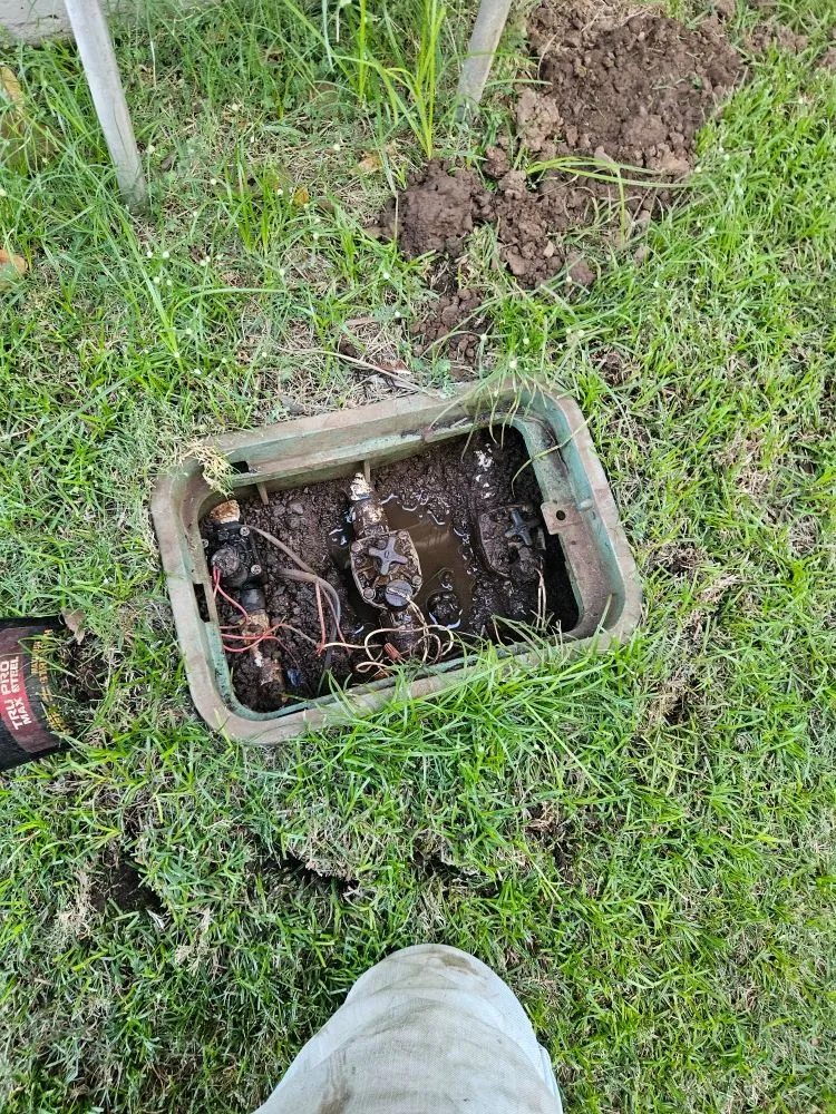 Affordable lawn mowing service experts serving Kihei, HI - Rodriguez Services