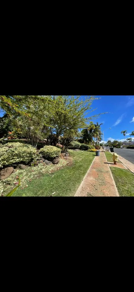 Top-rated landscape installation in Kihei, HI - Rodriguez Services