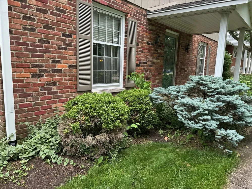 Reliable lawn care service experts serving Middletown, OH - Rodriguez Services