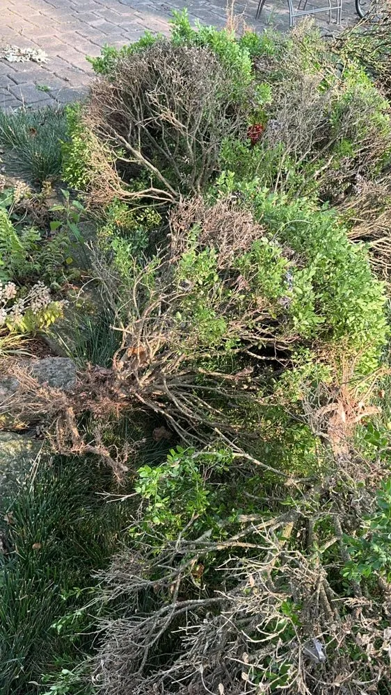 Custom lawn mowing service for outdoor upgrades across Middletown, OH - Rodriguez Services