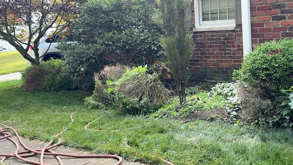 Trusted yard cleanup service for year-round maintenance across Middletown, OH - Rodriguez Services