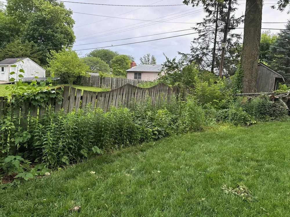 Top-rated landscaping services in Middletown, OH by Rodriguez Services