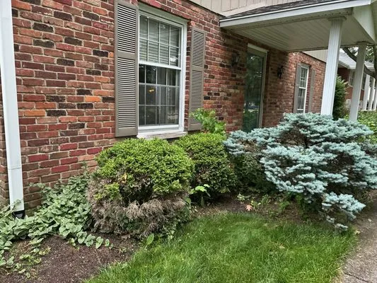 Rodriguez Services Logo