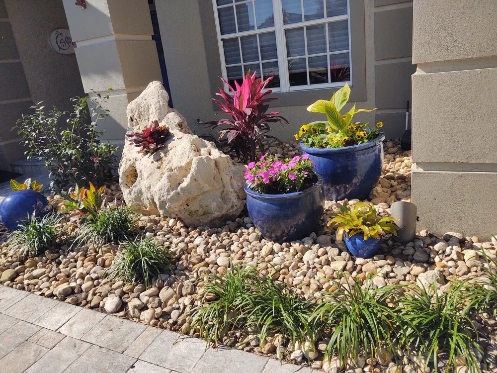 Local yard maintenance in Tampa, FL - Rodriguez Sod