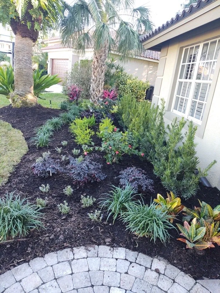 Affordable lawn care service experts serving Tampa, FL - Rodriguez Sod