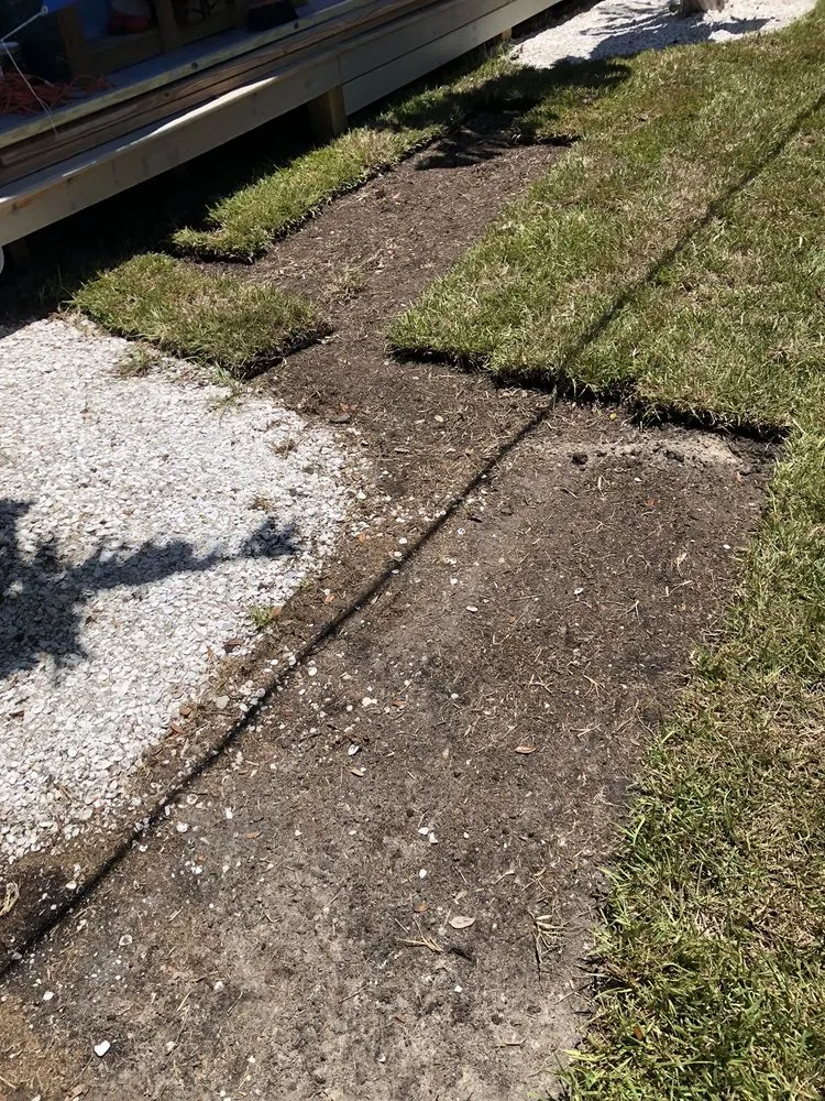 Trusted garden landscaping in Tampa, FL by Rodriguez Sod