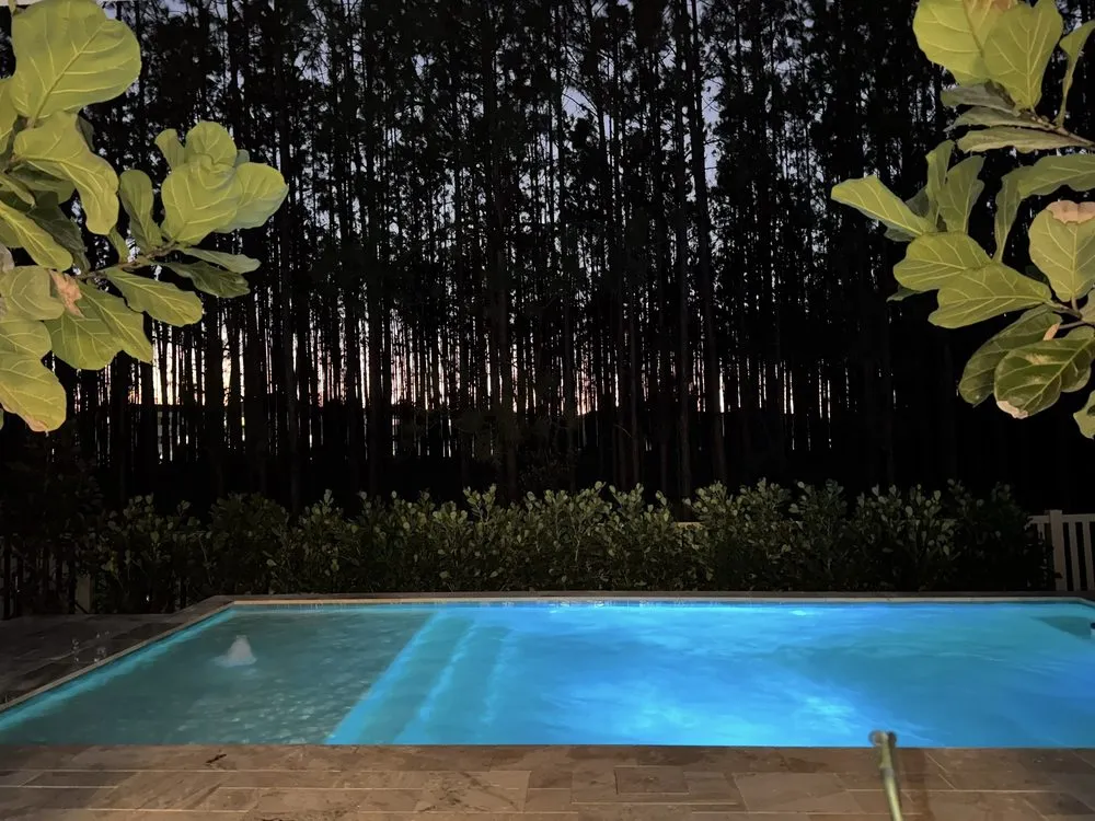 Top-rated yard cleanup service experts serving Tampa, FL - Rodriguez Sod