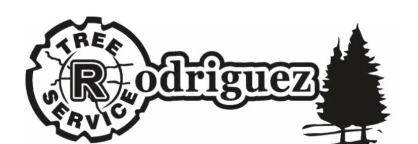 Reliable landscaping services in Carrollton, GA by Rodriguez Tree Service