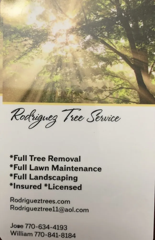 Trusted yard maintenance in Carrollton, GA by Rodriguez Tree Service