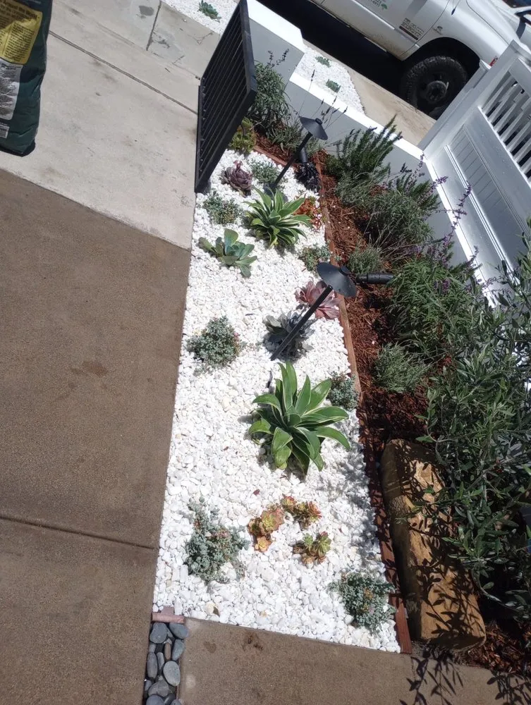 Local garden landscaping near you in Mission Viejo, CA by Rodriguez Tree Service