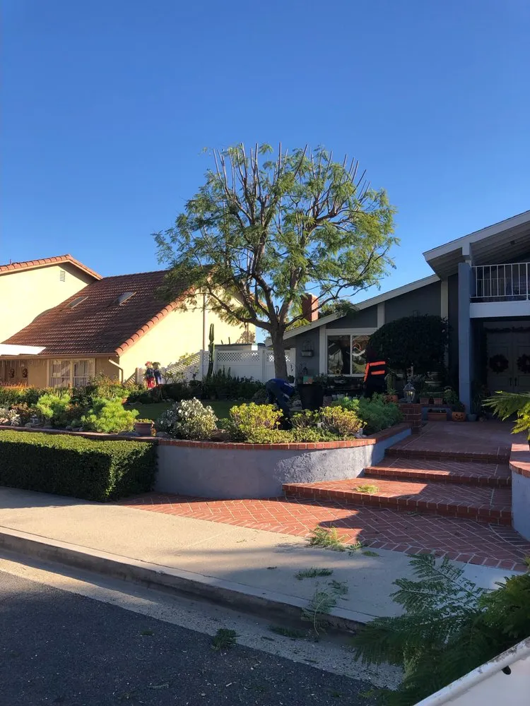 Expert lawn mowing service for outdoor upgrades in Mission Viejo, CA by Rodriguez Tree Service