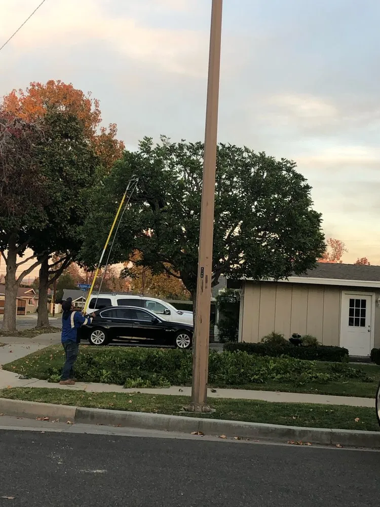 Top-rated landscape installation for homes across Mission Viejo, CA - Rodriguez Tree Service