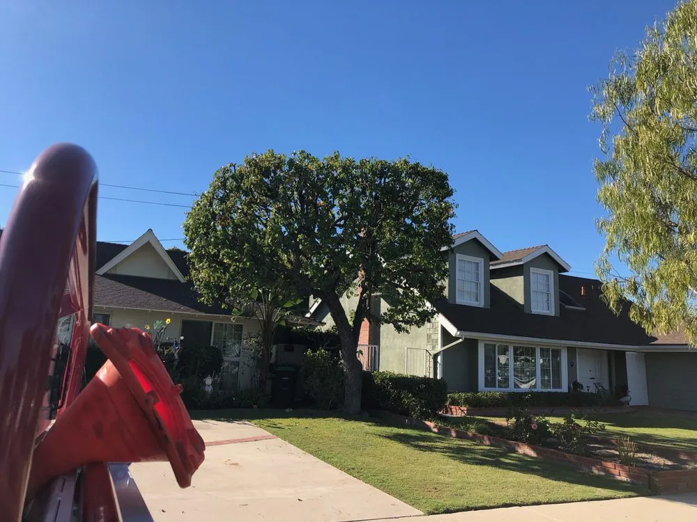 Custom yard cleanup service in Mission Viejo, CA - Rodriguez Tree Service