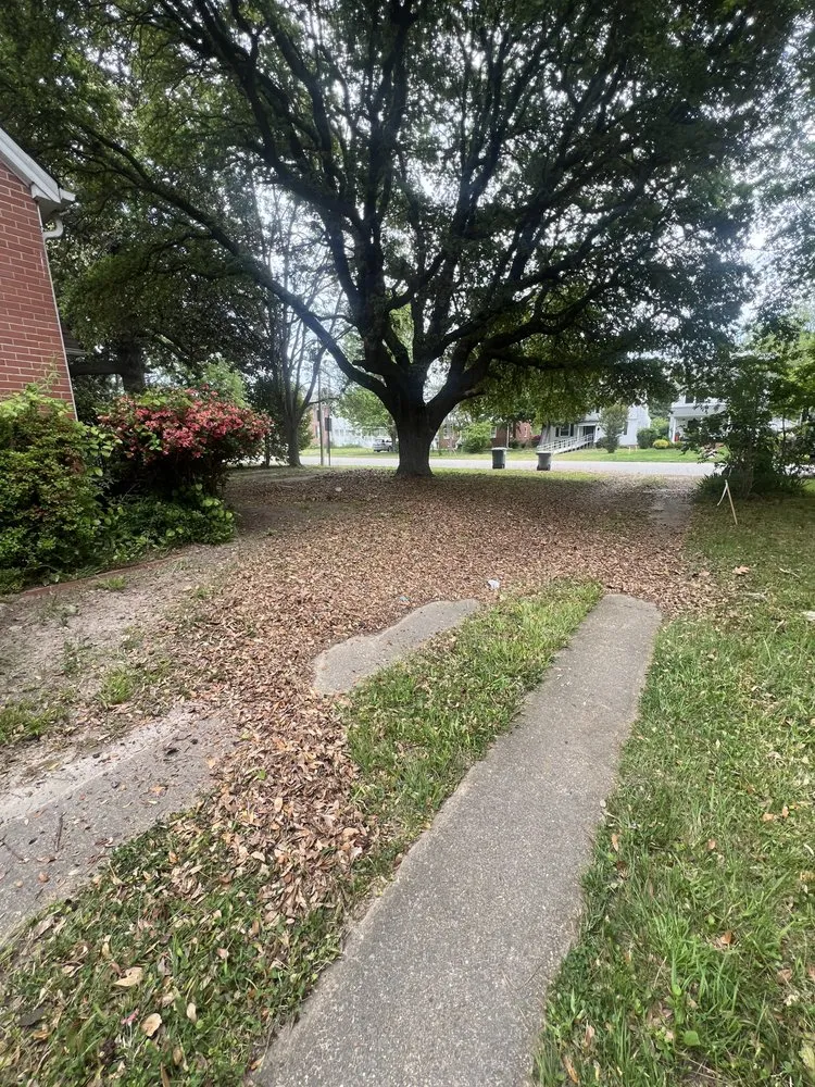 Affordable landscape installation for year-round maintenance in Norfolk, VA by Rodriguez Tree Service