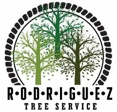 Affordable landscape installation in San Carlos, CA by Rodriguez Tree Service