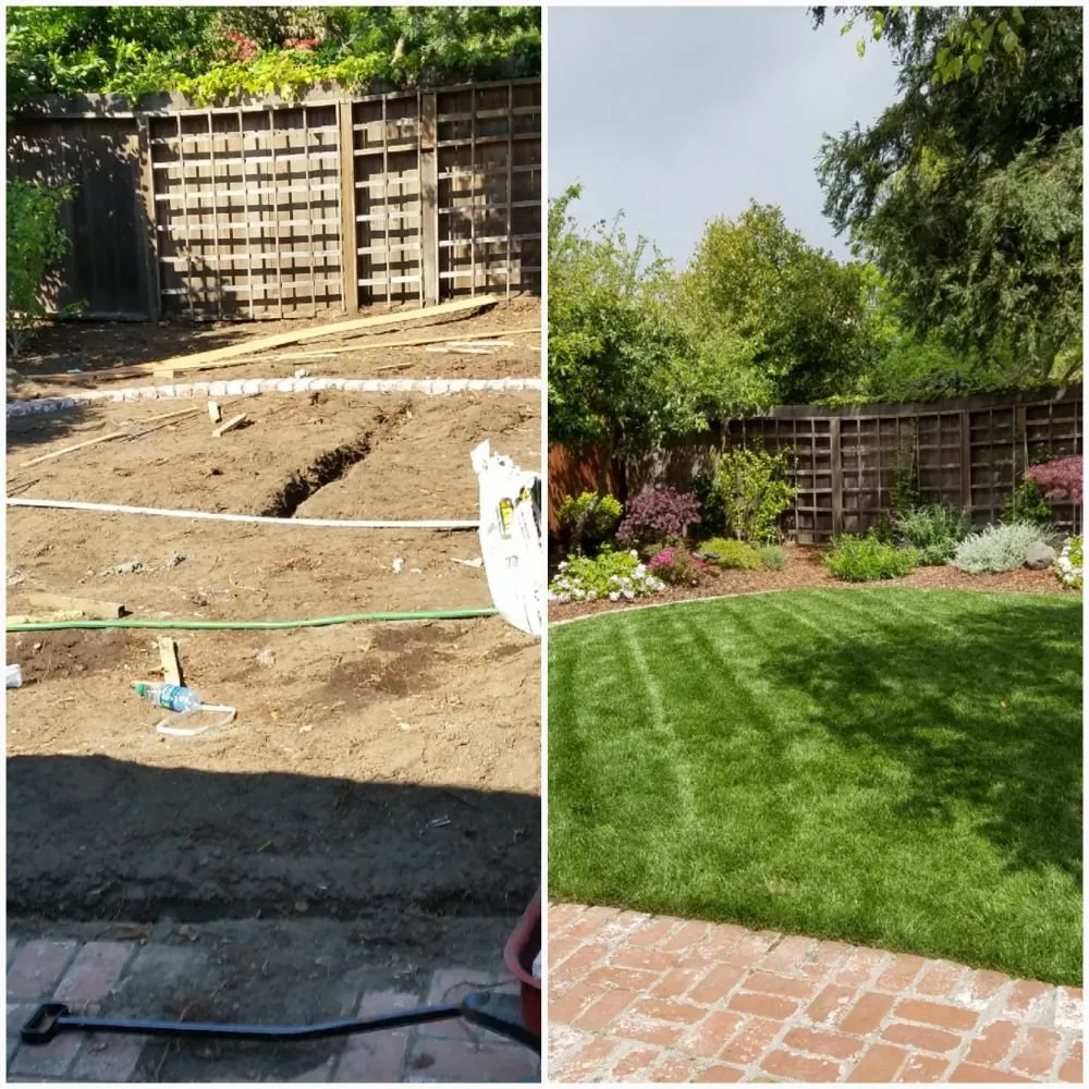 Custom yard maintenance for beautiful yards across San Carlos, CA - Rodriguez Tree Service