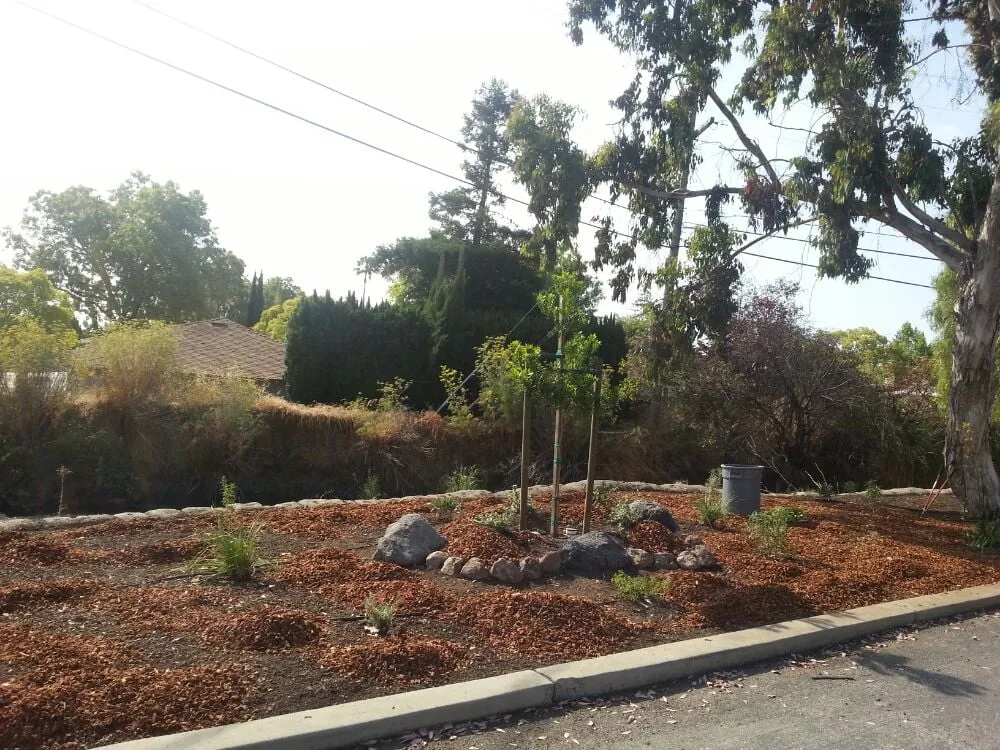 Local yard maintenance experts serving San Carlos, CA - Rodriguez Tree Service