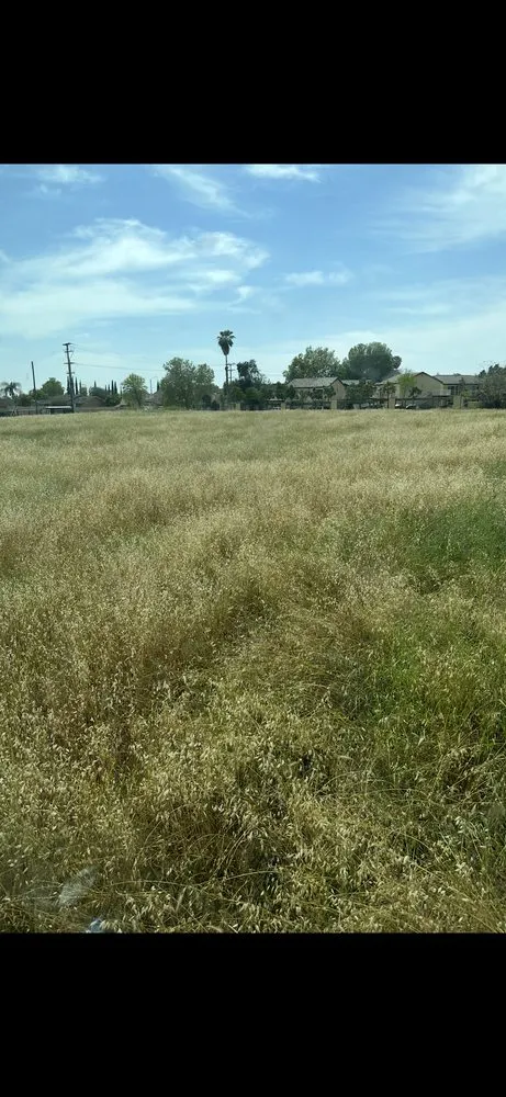 Custom lawn mowing service experts serving SAN BERNARDINO, CA - Rodriguezdisking