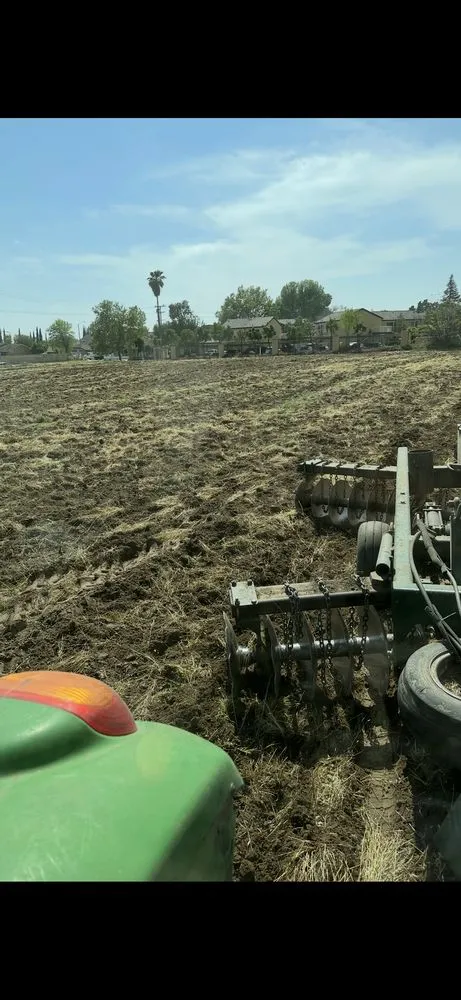 Custom yard cleanup service in SAN BERNARDINO, CA - Rodriguezdisking