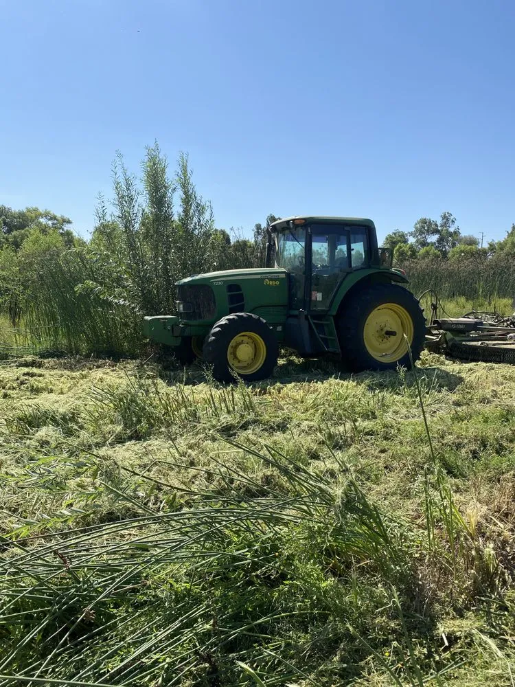 Professional landscape design near you in SAN BERNARDINO, CA by Rodriguezdisking