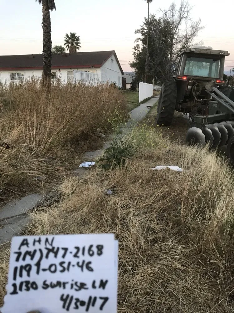 Affordable landscape installation in SAN BERNARDINO, CA - Rodriguezdisking