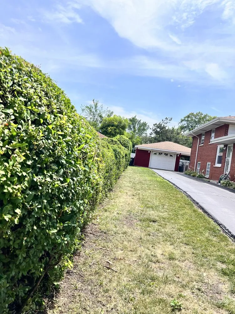 Trusted landscaping services with custom design across Lansing, IL - Rodriguez's Landscaping