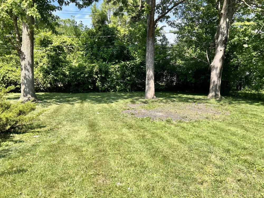 Affordable landscape design experts serving Lansing, IL - Rodriguez's Landscaping