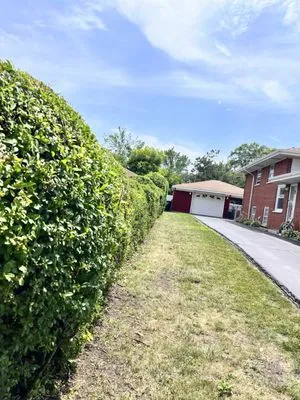 Rodriguez's Landscaping