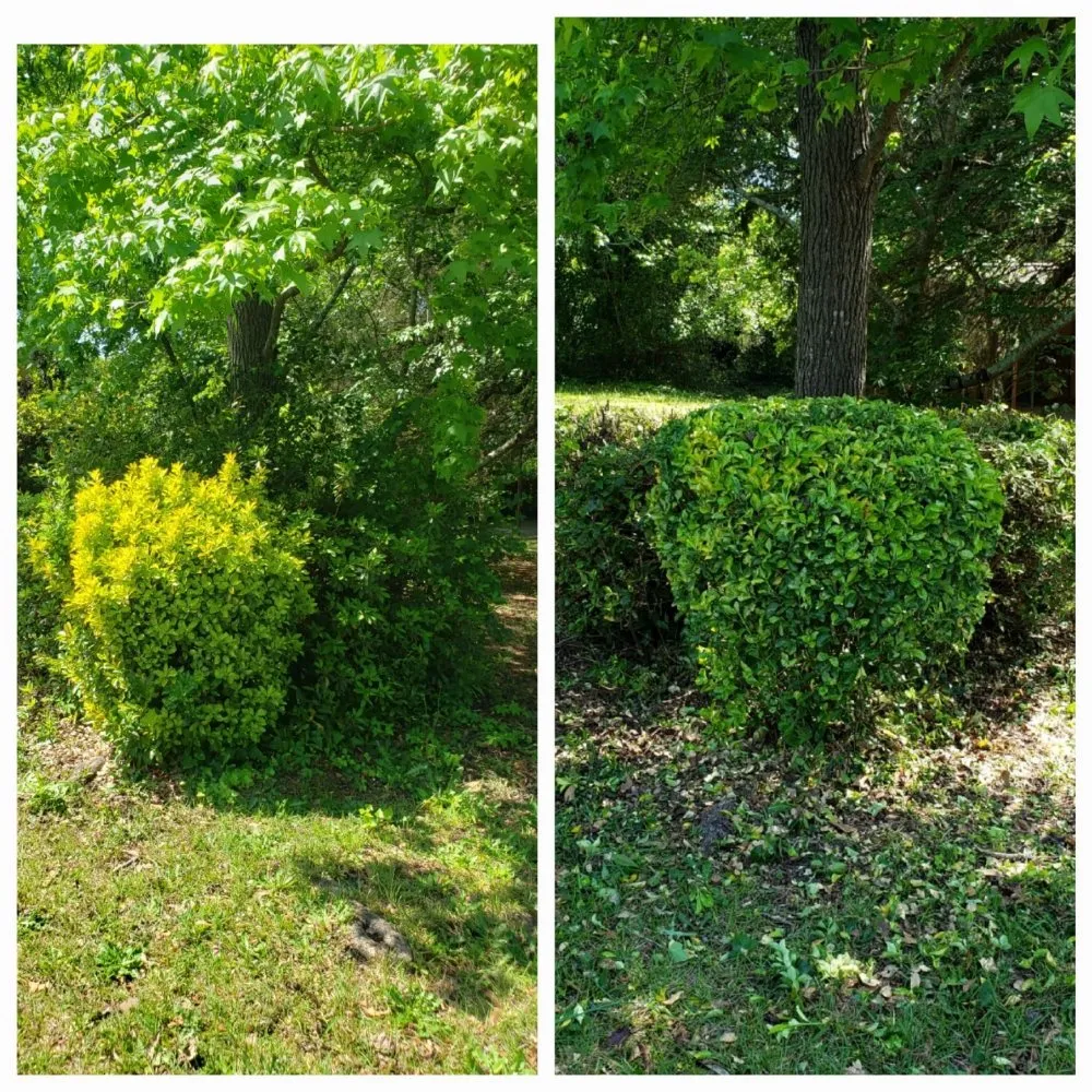 Custom landscape installation in Macon, GA - Rods Freight Towing and Landscaping
