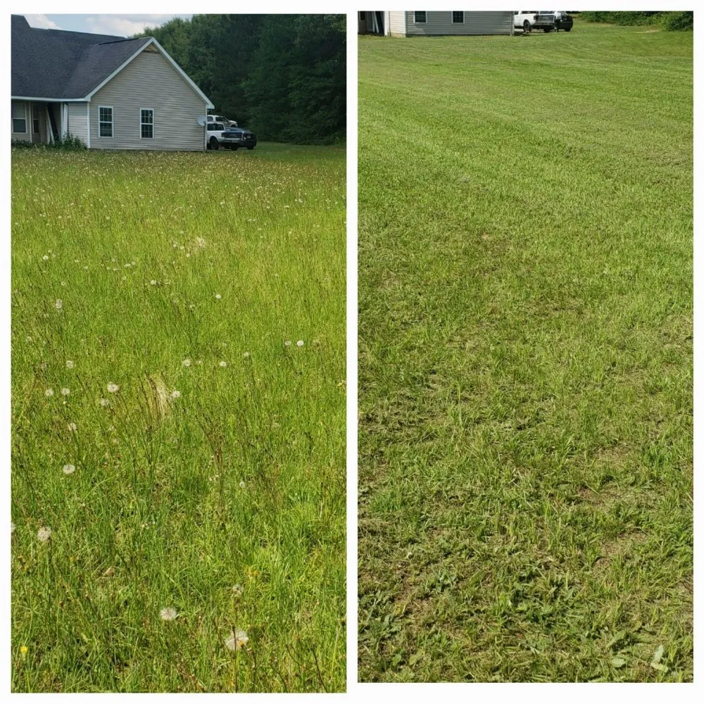 Reliable landscape installation in Macon, GA - Rods Freight Towing and Landscaping