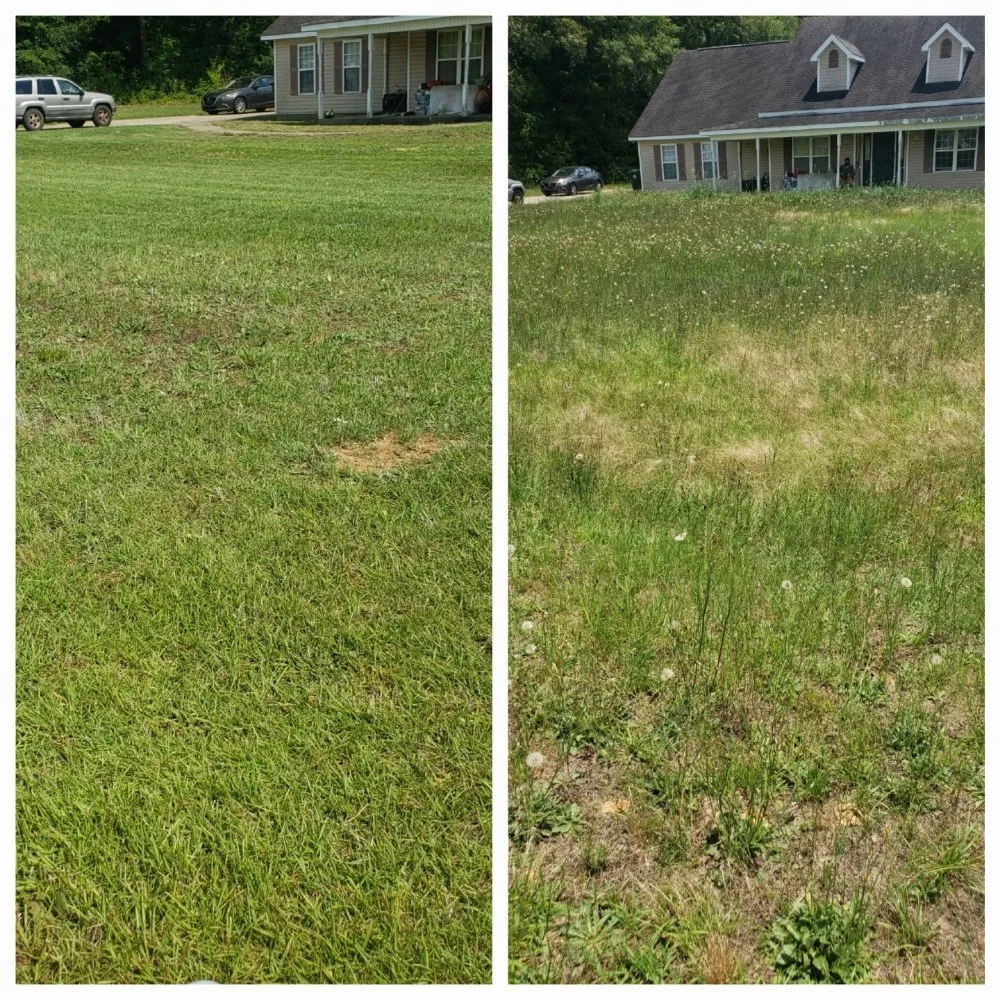 Top-rated yard maintenance experts serving Macon, GA - Rods Freight Towing and Landscaping